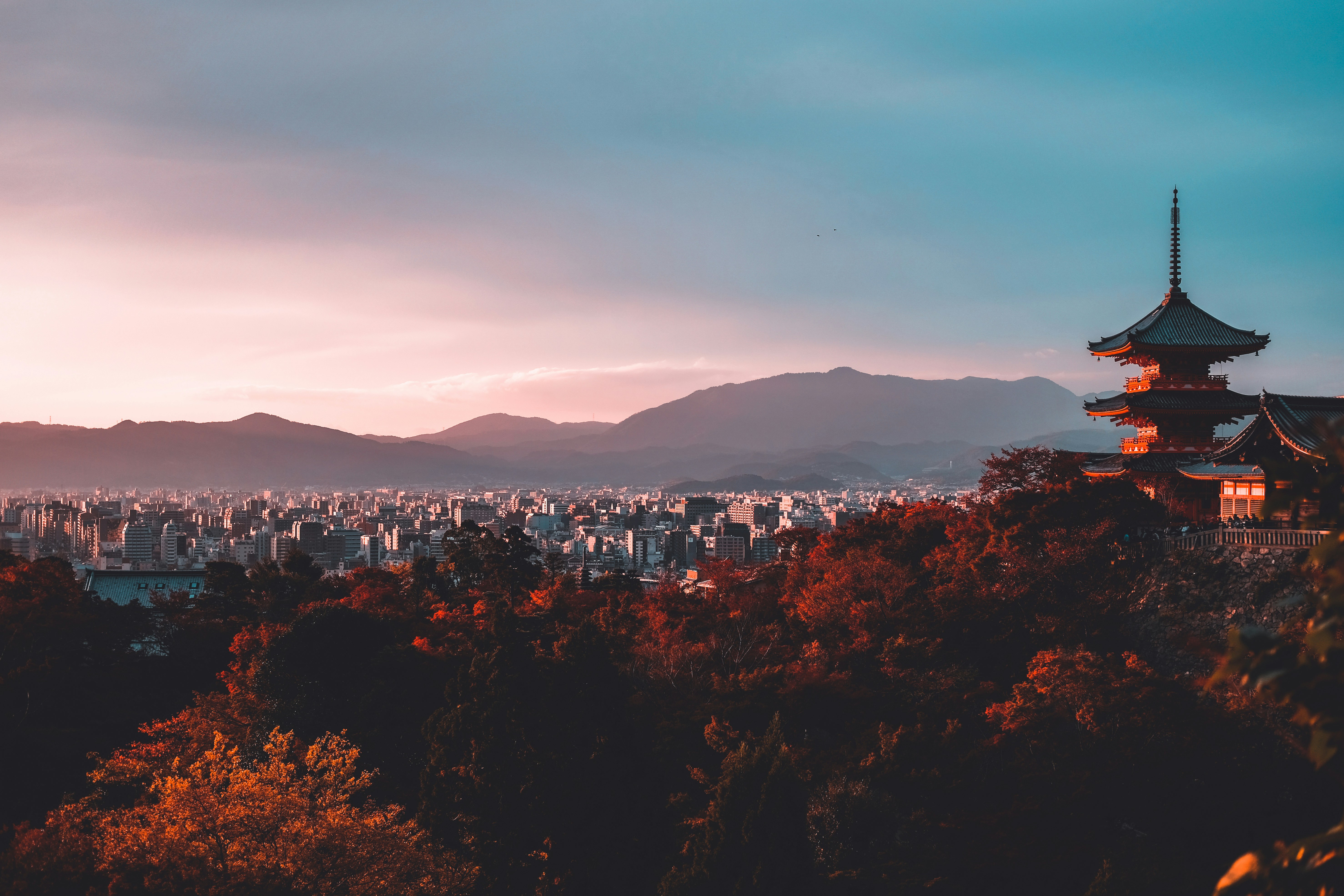 Japan wilderness